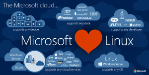 Microsoft loves linux
