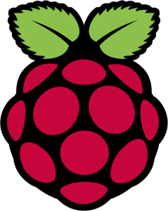 Logo Raspberry Pi